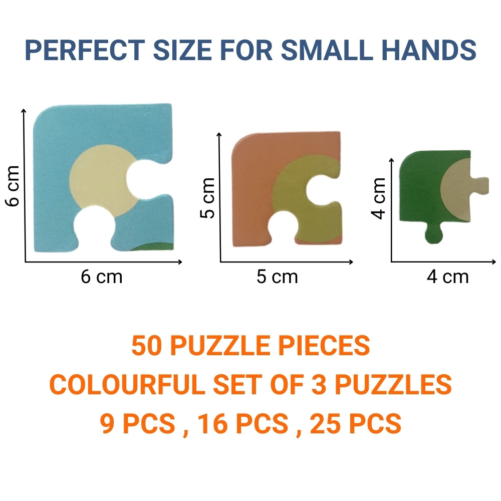 Fun Puzzle (Ages: 3+ Years)